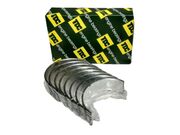 BRONZINA DE BIELA FIAT MAREA STILO 2.4 100      RB5145-100