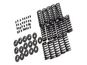 KIT MONTAGEM VALVULAS CABECOTE RENAULT MASTER 2.5 16V DIESEL G9U 78434