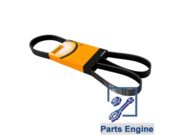CORREIA POLI V MERCEDES SPRINTER CDI 6PK2264     03114600217 - 2