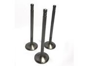 VALV ADM ALFA 2.0/FIAT 1.8/2.4 33,6*113*7