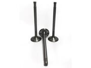 VALV ADM ALFA 2.0/FIAT 1.8/2.4 33,6*113*7 - 3