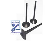 VALV ADM CITROEN/PEUGEOT 1.4 8V FLEX 45. 36,60*112*6,97   VADPG14A - 2