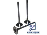 VALV ESC CITROEN/PEUGEOT 2.0 16V EW10 28,9*103,6*6 VESPG22 - 2