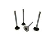 VALV ESC ASIA TOWNER 0.8 33,00*101,60*7,00*1R  VESAS08