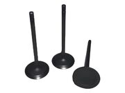 VALV ADM GM CAPTIVA OMEGA 3.6 V6 37,00 6,0 101,20   VADGM36 - 2