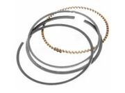 ANEIS DE SEGMENTO GM BLAZER S10 VECTRA 2.4 100     C314840-100